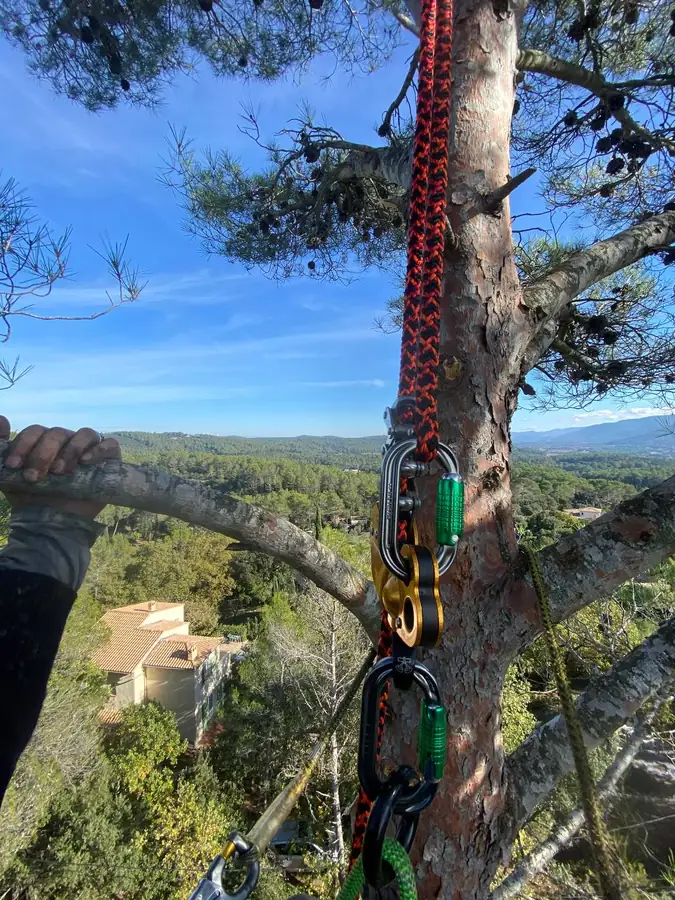 Enzo Cotta encordé dans un pin en surplomb, avec vue sur les collines du Haut-Var